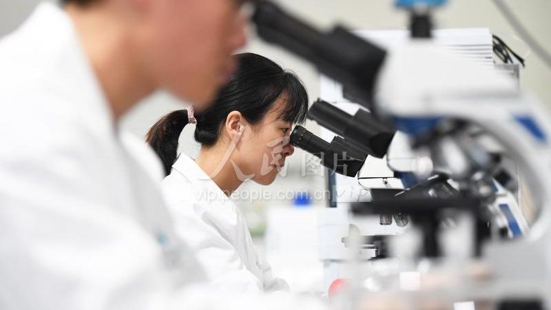CDMO与CMO：合同差异解析，助您明智选择