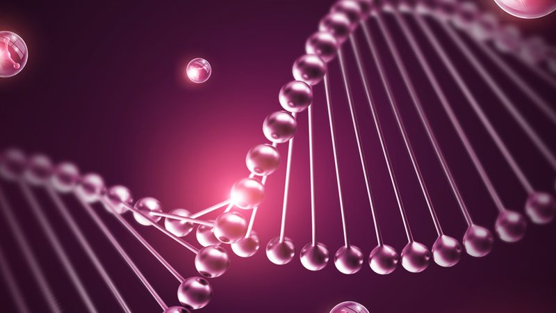 CDMO服务流程外包：揭秘制药企业的秘密武器