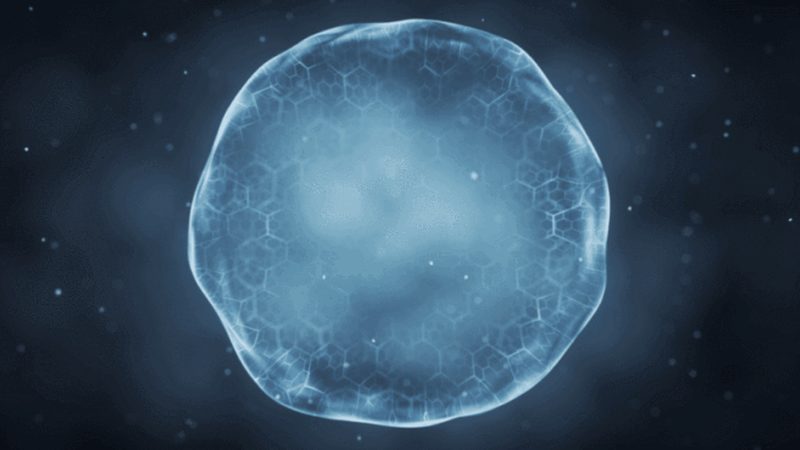 解码遗传病：基因检测方法的技术原理探秘**