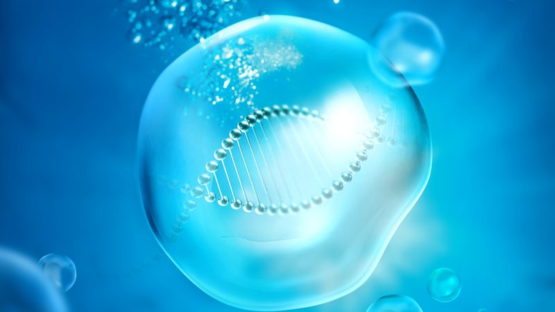 生物医药外包项目验收标准规范：关键要素与实施要点
