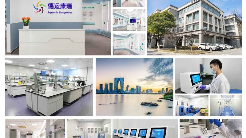 离心管试管：价格差异背后的秘密