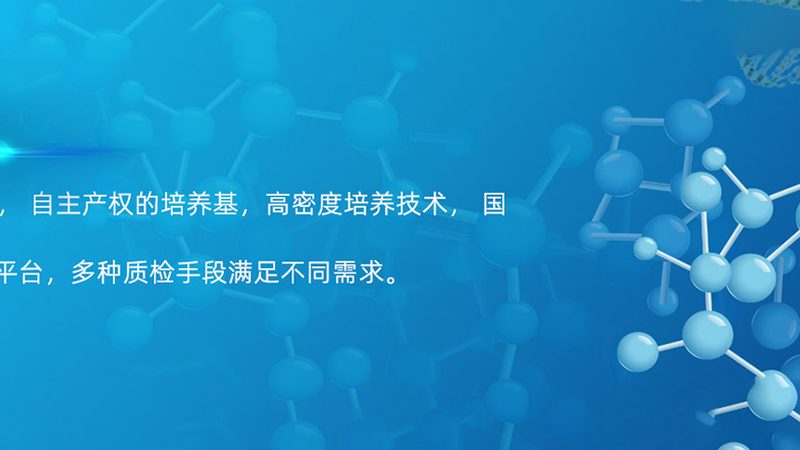cro优化工具对比评测