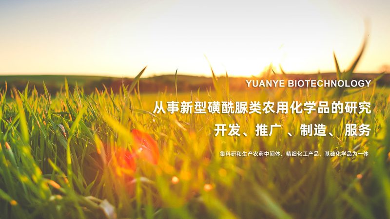 引物合成：精准科研的基石，注意事项大盘点