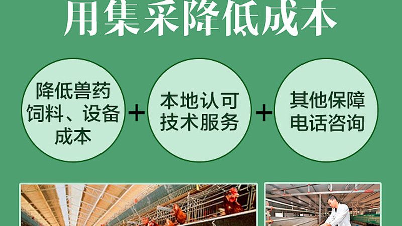 CRISPR技术革新基因检测与编辑：探索未知，点亮生命之光**