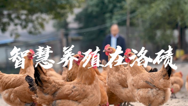 酶制剂定制不是先报价，而是先定目标