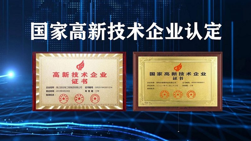 CDMO工艺流程：揭秘其成本构成与影响因素