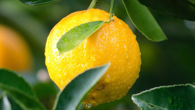 美容仪也能生物科技？上海生物科技美容仪使用注意事项揭秘
