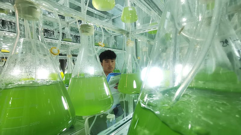如何选择合适的ELISA试剂盒代理加盟？关键因素解析**